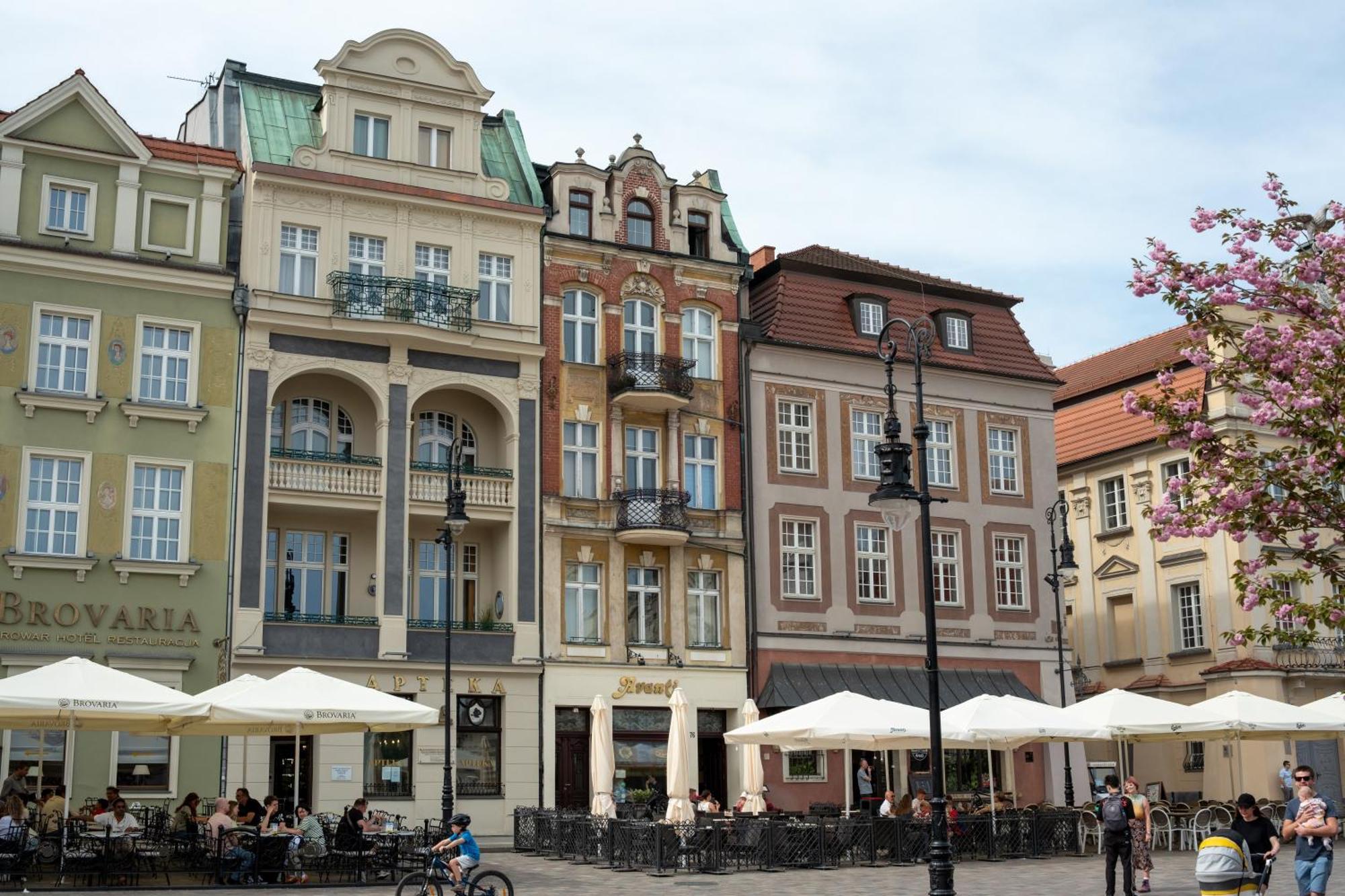 Apartamenty Drevny Kocur Poznan Exterior foto