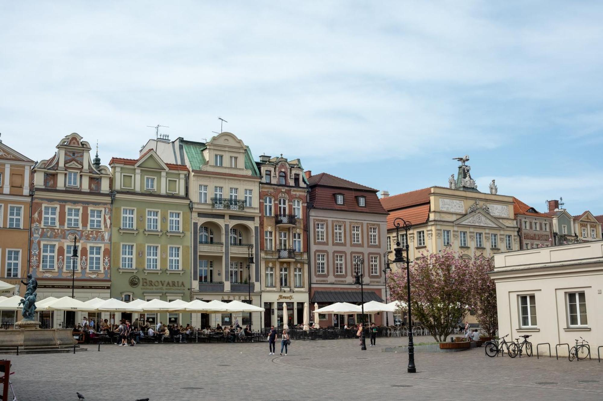 Apartamenty Drevny Kocur Poznan Exterior foto